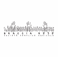 Bracciarese